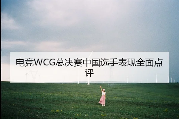 电竞WCG总决赛中国选手表现全面点评