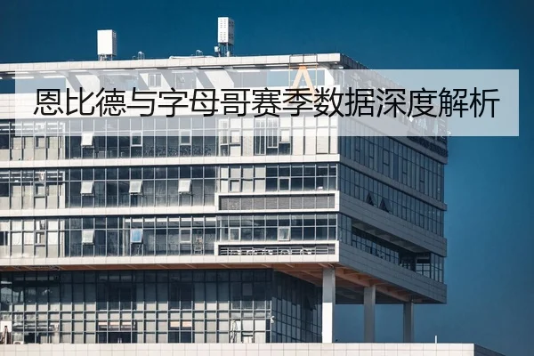 恩比德与字母哥赛季数据深度解析